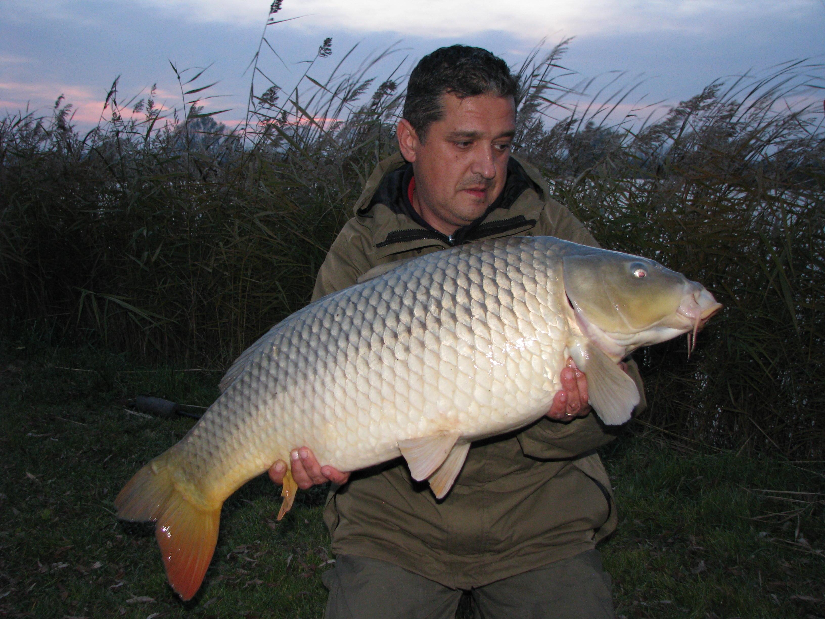 capturi - IMG_2799.JPG